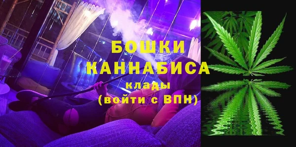винт Коряжма