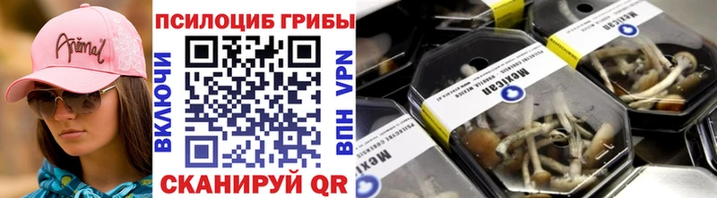 Псилоцибиновые грибы GOLDEN TEACHER  Лысьва 